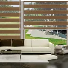 Good Sale Premium Polyester Manual Zebra Blinds Window Shades