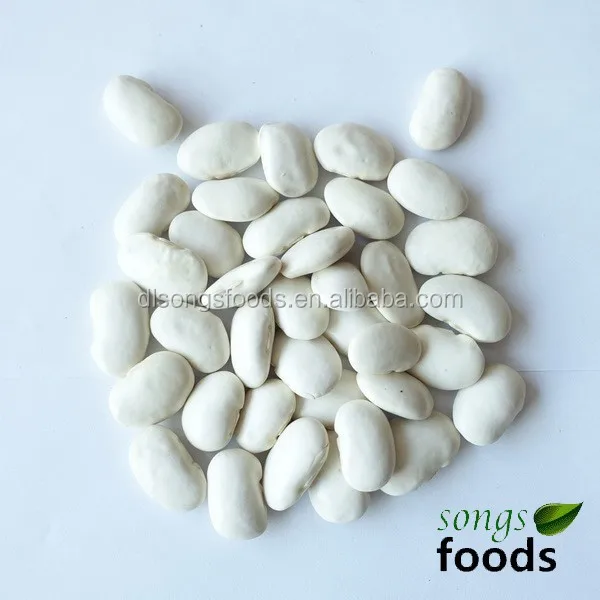 chinese white kidney bean