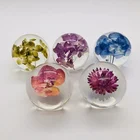Custom real flower paperweight factory