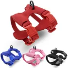 Luxury Personalized Logo Adjustable Blank Leather Plain Pretty Fancy Small Dog Harness