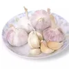 2019 Sell Chinese Pure White Garlic
