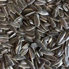 /product-detail/different-types-of-sunflower-seeds-363-361-601-5009-432715645.html