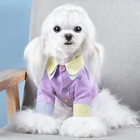 Advertising High Quality Fashionable Pet Clothes For Dogs design