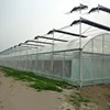 /product-detail/cheap-and-easily-installed-agricultural-commercial-poly-tunnel-greenhouse-60647707073.html