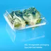 New Products Square disposable plastic mushroom, vegetables packing box