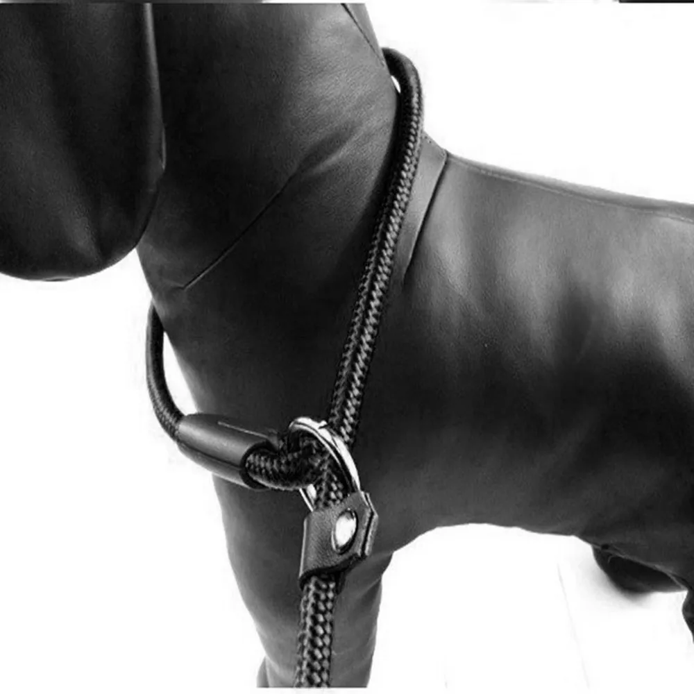 1pc Dog Puppy Cat Adjustable Nylon Harness with Lead leash Pet Training Fleible Harness P Chain Rope Strong Nylon