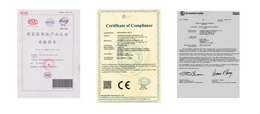 certificate.jpg