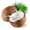 coconut milk oem 100% Natural Fruit Powder Instant Coconut Water Powder desiccated coconut low fat