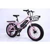 /product-detail/2019-best-selling-fat-tire-electric-bicycle-48v-electric-mountain-bike-front-disc-brake-electric-bike-62003352143.html