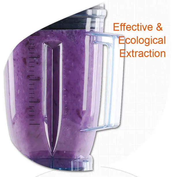 Multi nutritional mixer handblender