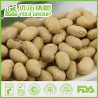 Soya Beans BRC Certificated Salted Yellow Soya Beans Dried Soya Beans