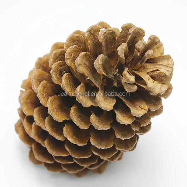 ornament hanging decorations hot design christmas jumbo pinecone