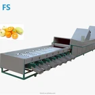 new technology pepper/ tomato/ pumpkin brush washing peeling machine with large capacity