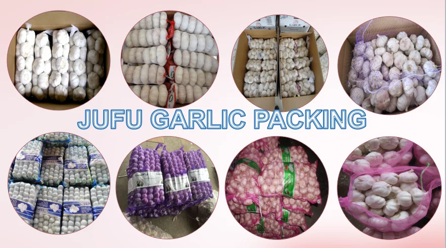 JUFU GARLIC PACKING