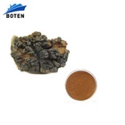 Private label organic buy chaga mushroom extract