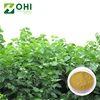 Powerful Skin Whitening white mulberry leaf extract powder