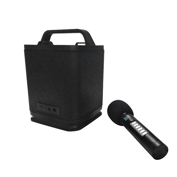 wireless BT portable classroom speaker system - ANKUX.COM