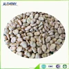 Chinese Wholesale fava bean broad bean