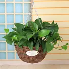Gardening Home Decoration Handmade Hanging Wicker Flower Basket Flowerpot