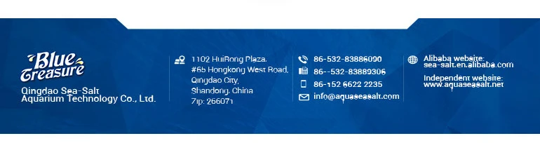 5 - Contact Us.jpg