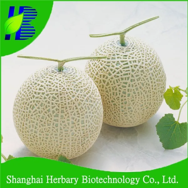 High Sprouting Rate Hami Melon Seeds Buy Hami Melon Seeds,Japanese