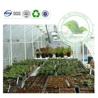 Eco Friendly Transparent PVC Tunnel Greenhouse