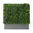 Sunwing boxwood hedge artificial green wall in planter for outdoor indoor