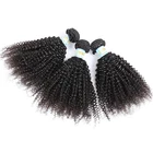 Wholesale Virgin Brazilian Kinky Curly Hair unprocessed Natural Color Cuticle Aligned Hair