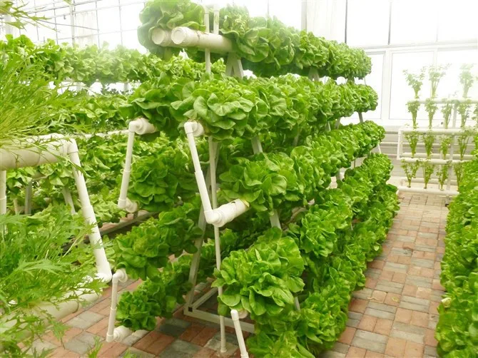 Vertical Gardening Hydroponic Grow System- Hydroponics ...