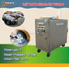 20 bar LPG portable mobile steam car wash machine/steam mattress cleaning