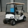 Hot selling 2 seater Small golf buggy with rear basket,mini golf cart