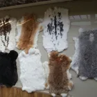 Natural white rabbit fur skin/Tanned rex rabbit fur skin
