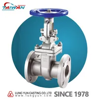 Stainless Steel Gate Valve Class 150