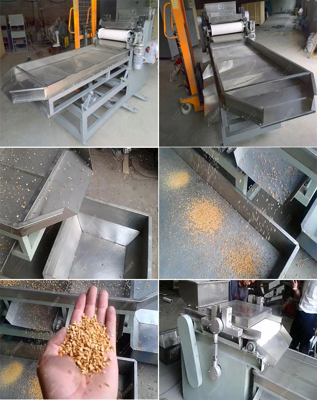 Source Macadamia Crushing Walnut Crusher Almond Dicing Cashew Nut Cutting  Bean Chopping Machine Walnuts Chopper And Crusher on m.