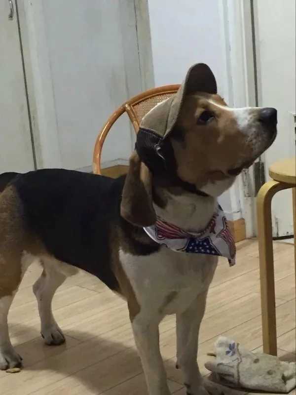 4402455221_1798973395