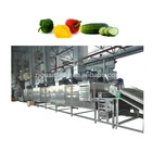 Food Beverage Factory Moringa Leaves Dehydrated Vegetables Machine Conveyor Belt Production Vegetable Dehydrating Moringa Leaves Drying Machine