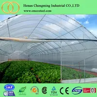 Single Span Multi Span Plastic Film