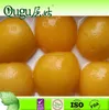 Wholesale china products brands canned fruit,canned yellow peach,canned pear