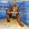 /product-detail/life-size-animatronic-sabre-tooth-tiger-statues-for-exhibition-60064429421.html