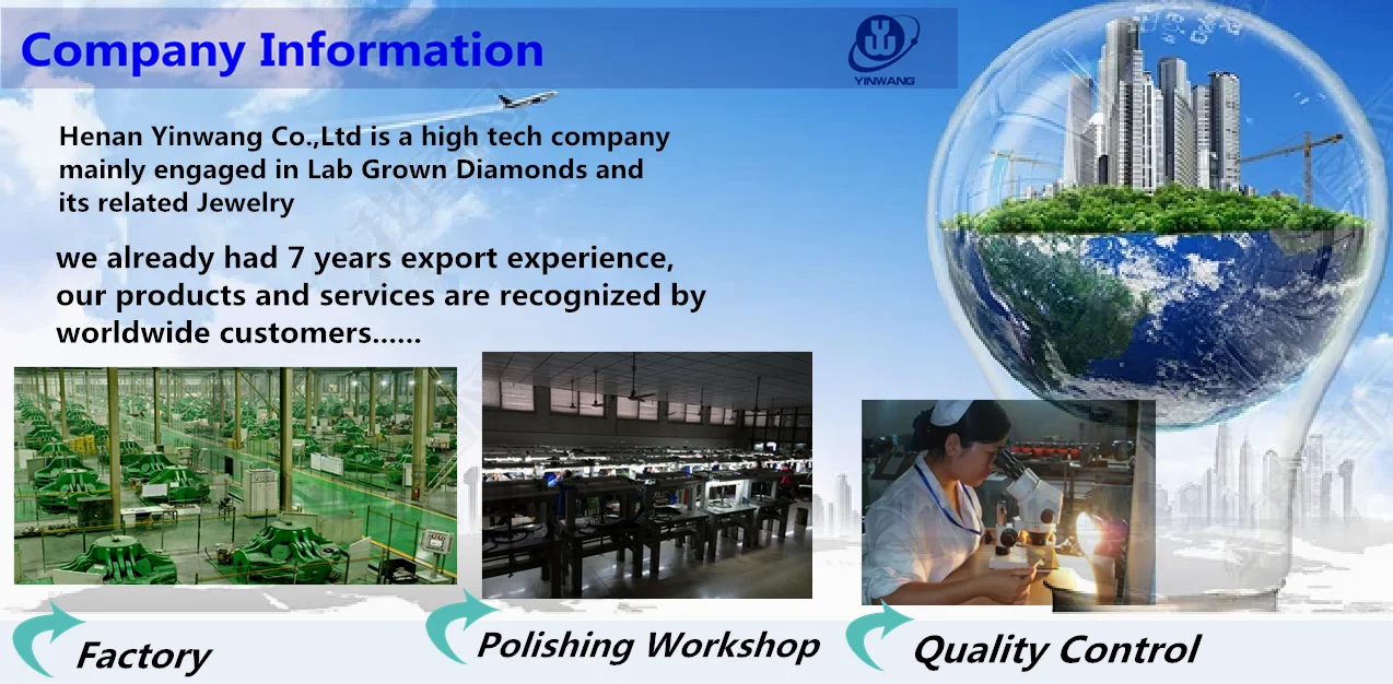 company information_