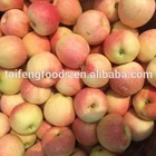 2018 new fresh fruits red fuji apple
