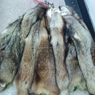 Natural Raccoon Dog Skin, Raccoon Dog Fur, Raccoon Dog Pelts