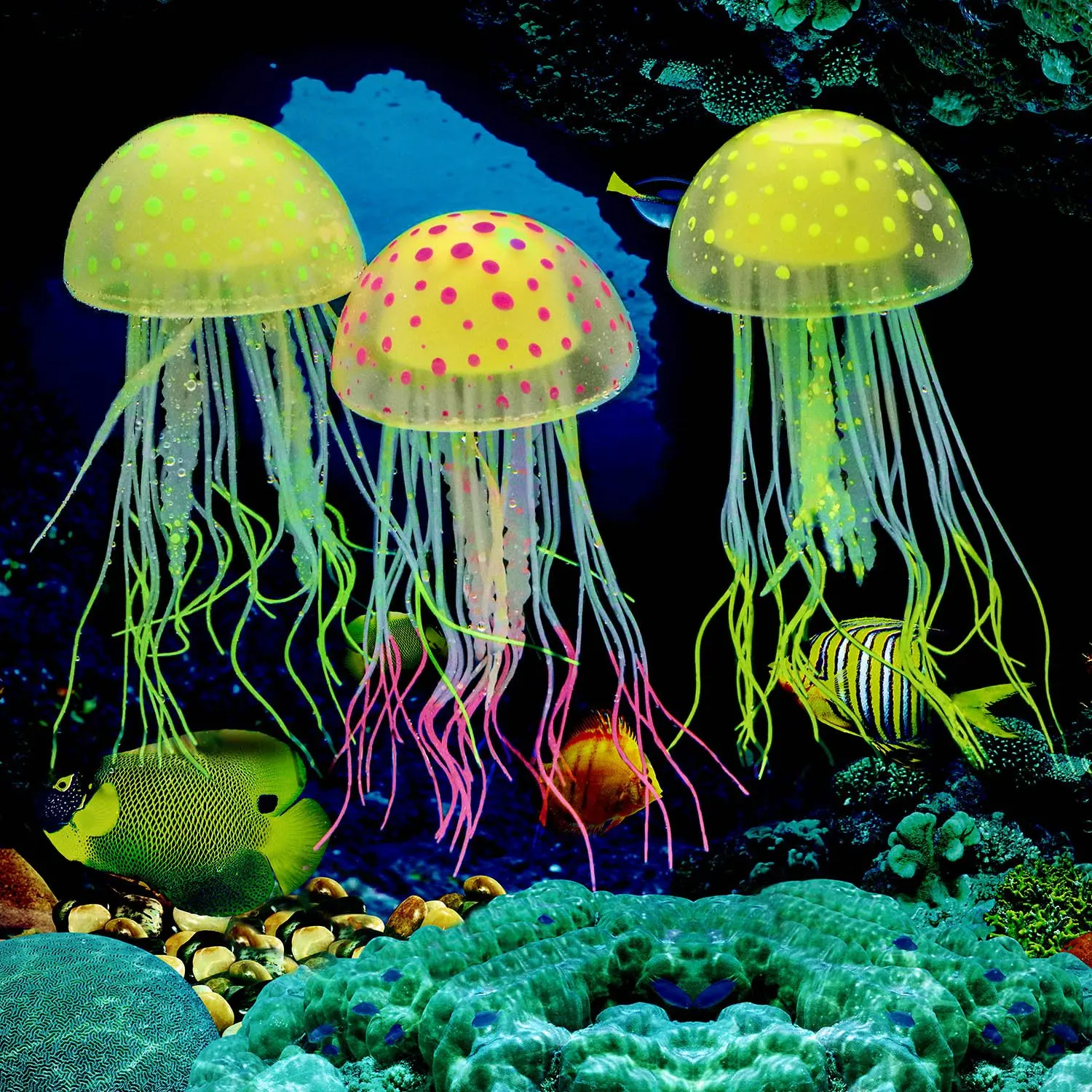 Pet Jellyfish for Sale: A Glowing Addition to Your Underwater Aquariums