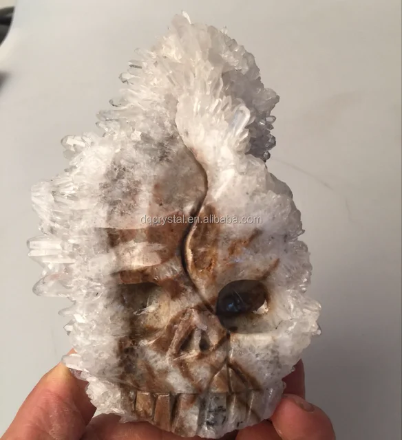 chrysanthemum stone skulls