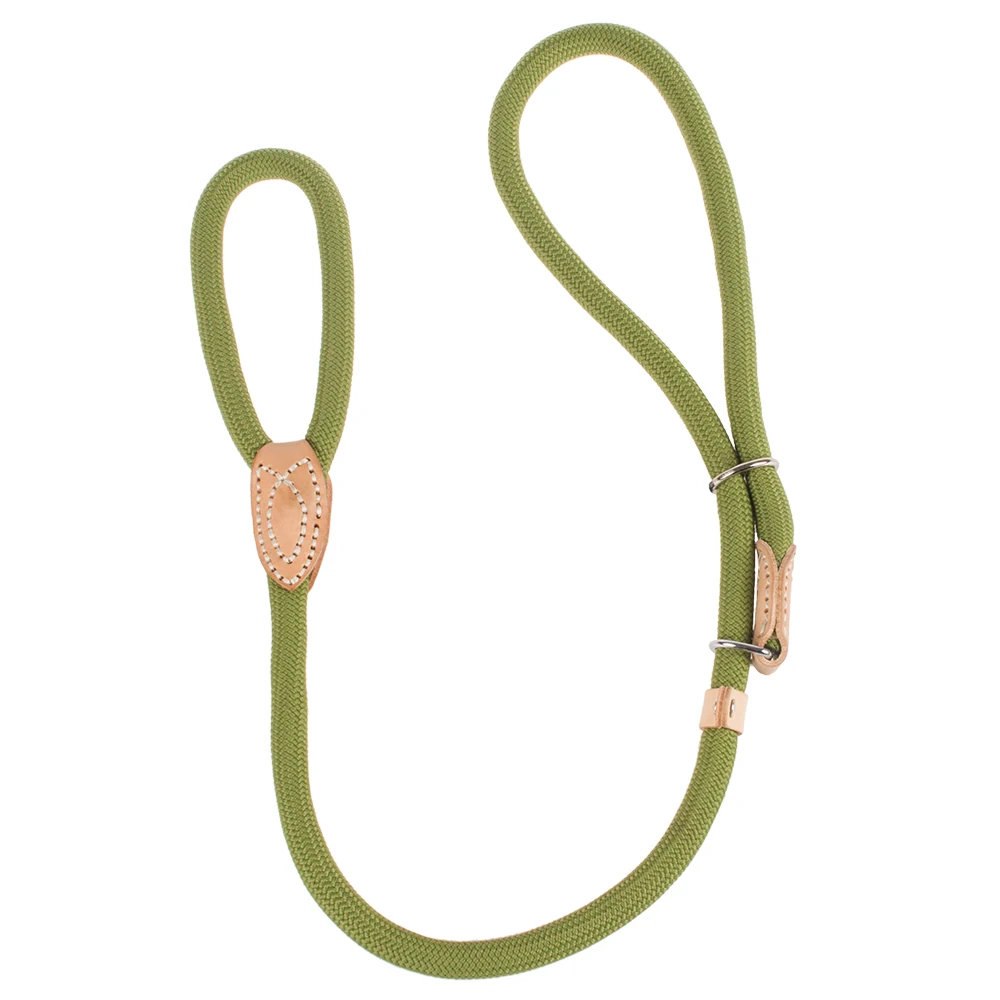 outdoor dog leash