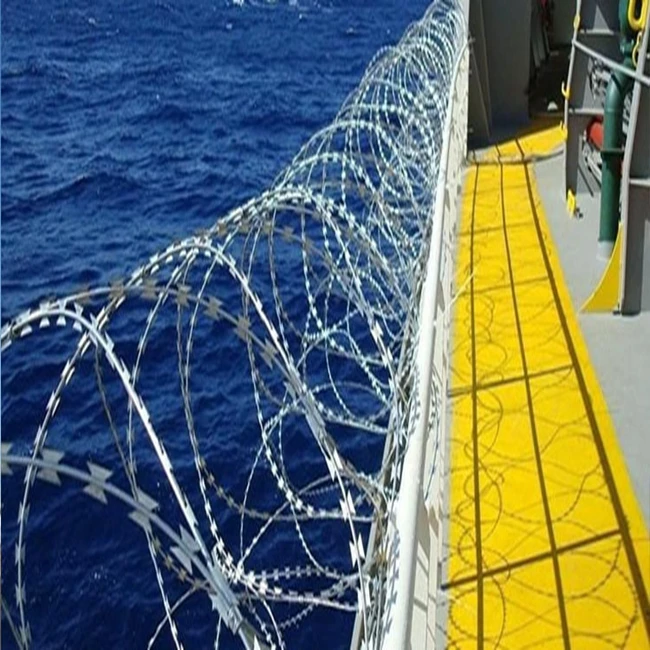 razor barbed wire mesh049.jpg