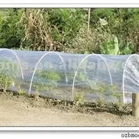 Low Tunnel Agricultural Greenhouses Type And