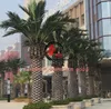 /product-detail/hot-selling-artificial-date-palm-tree-plastic-fake-date-palm-leaves-for-big-plaza-mall-decoration-60262278585.html