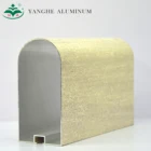 Decorative Aluminum Ceiling Special Shape