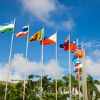 Wholesale National flags of different countries polyester flags
